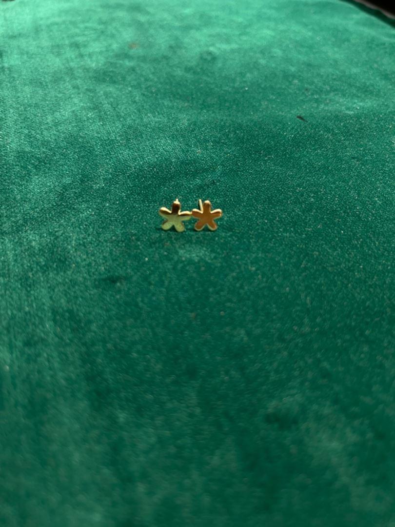 گوشواره میخی گل