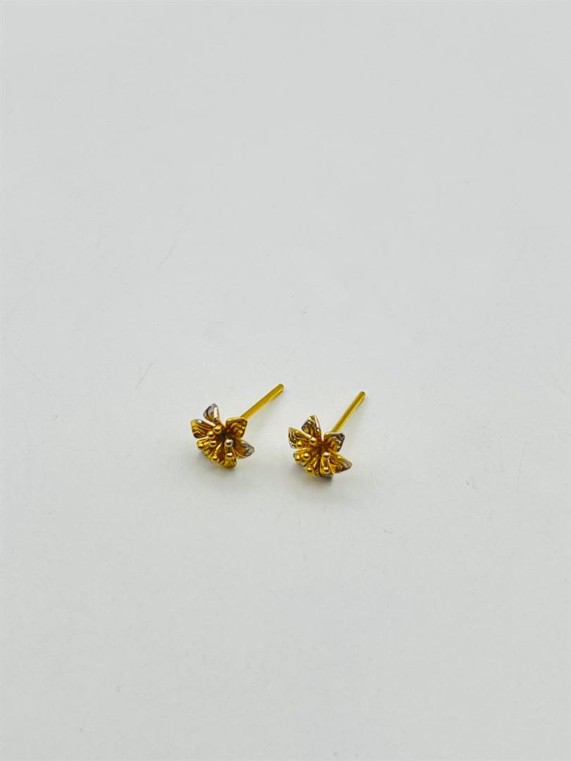 e689670e-fd0b-490d-adb0-48dd321e96d9.jpg