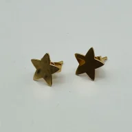 گوشواره میخی ستاره - 1102