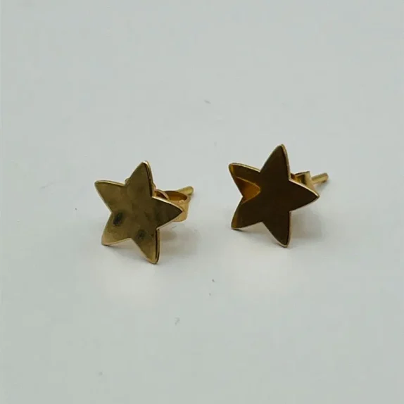 گوشواره میخی ستاره - 1102