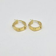 گوشواره کارتیر لاو - 5342